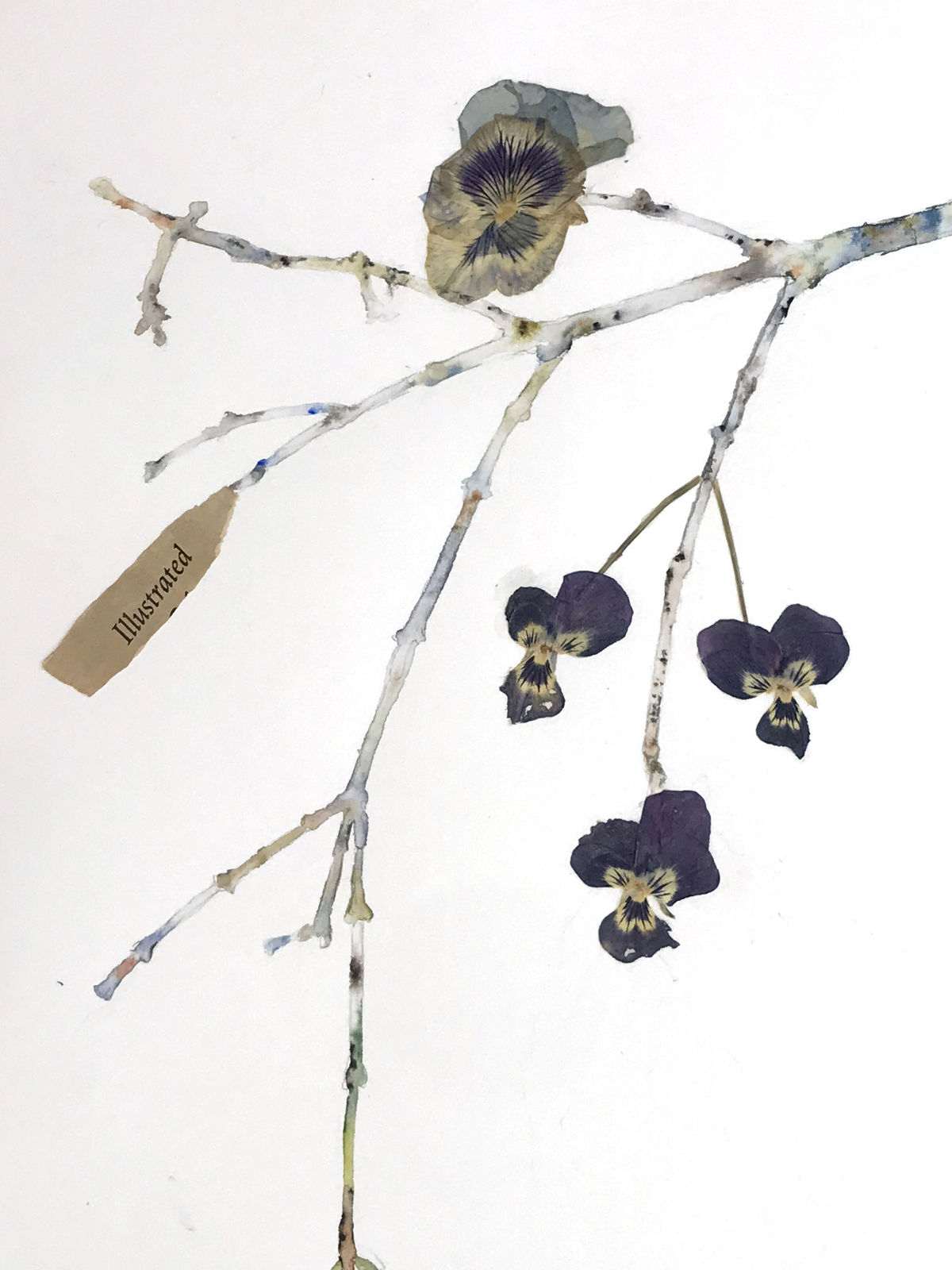 Marilla Palmer, Willow, Willow, 2017