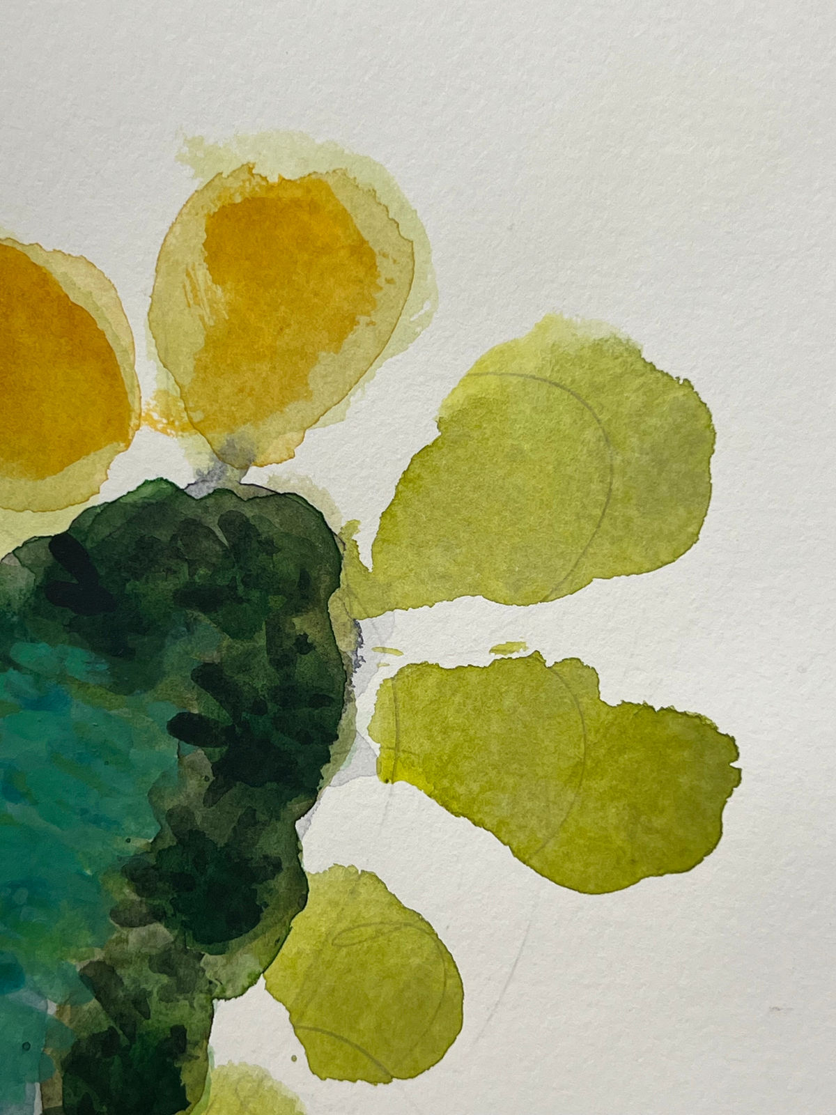 Katie DeGroot, YAY!, 2025