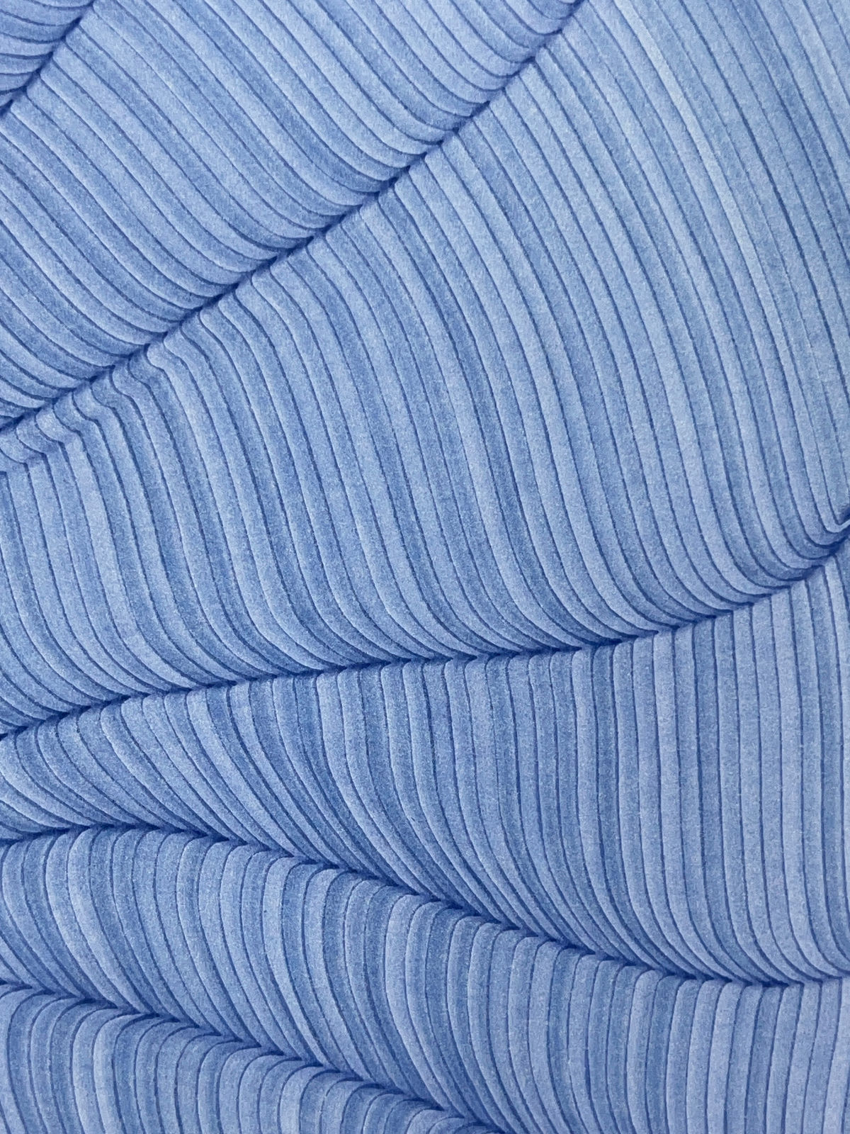 Dana Piazza, Lines 319, 2025