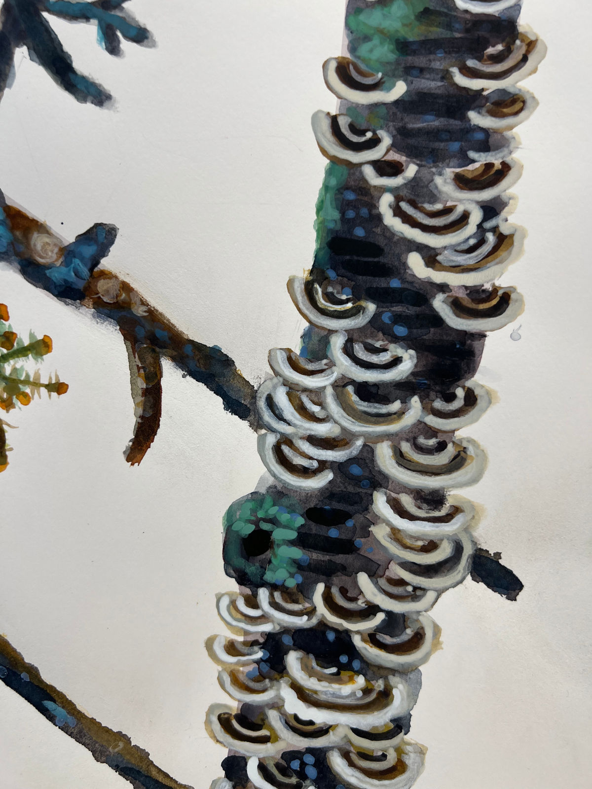 Katie DeGroot, The Interloper, 2025