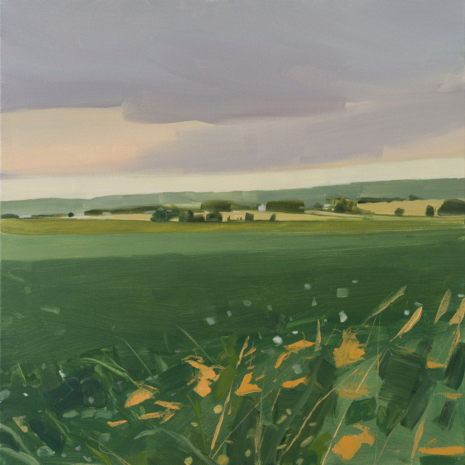 Sara MacCulloch, Summer Fields, 2023