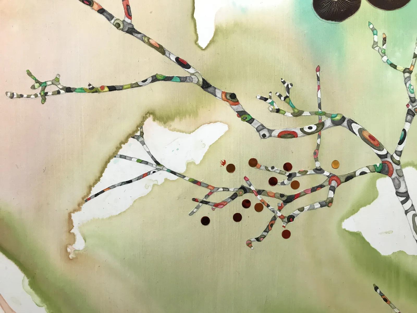 Marilla Palmer, Dangling Iris, 2013