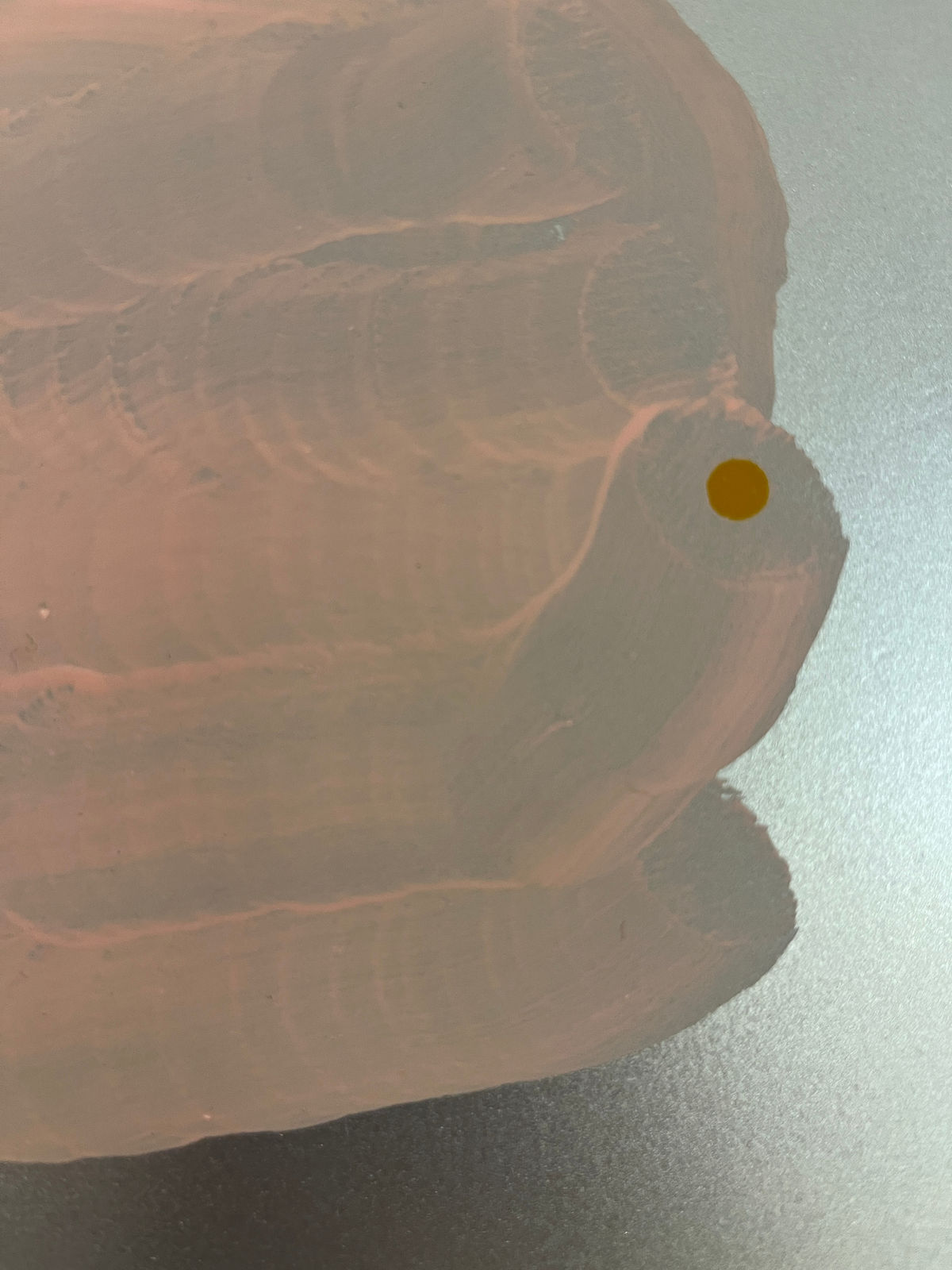 Laura Bidwa, Pink Thought 9, 2022