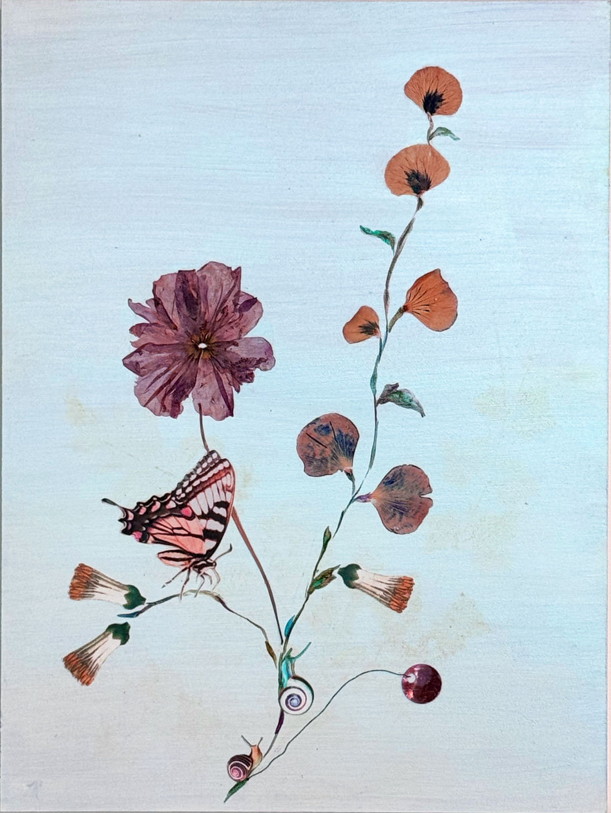 Marilla Palmer, Ethereal Poppy, 2024