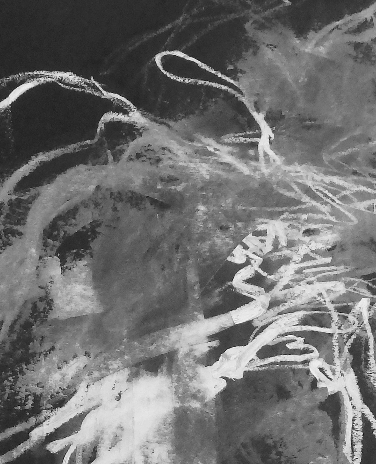 Tamar Zinn, Voices in the stream 21, 2025