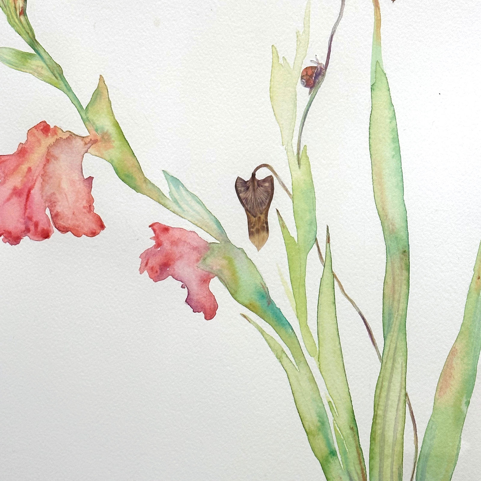 Marilla Palmer, Giotto's Pink, 2023