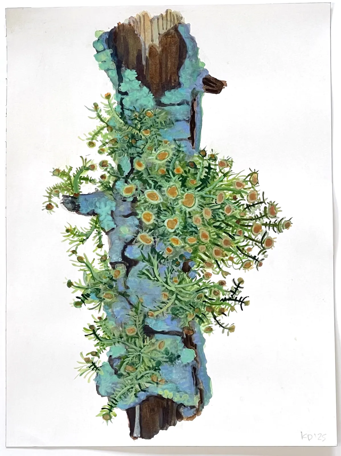 Katie DeGroot, Little Limb lV, 2025