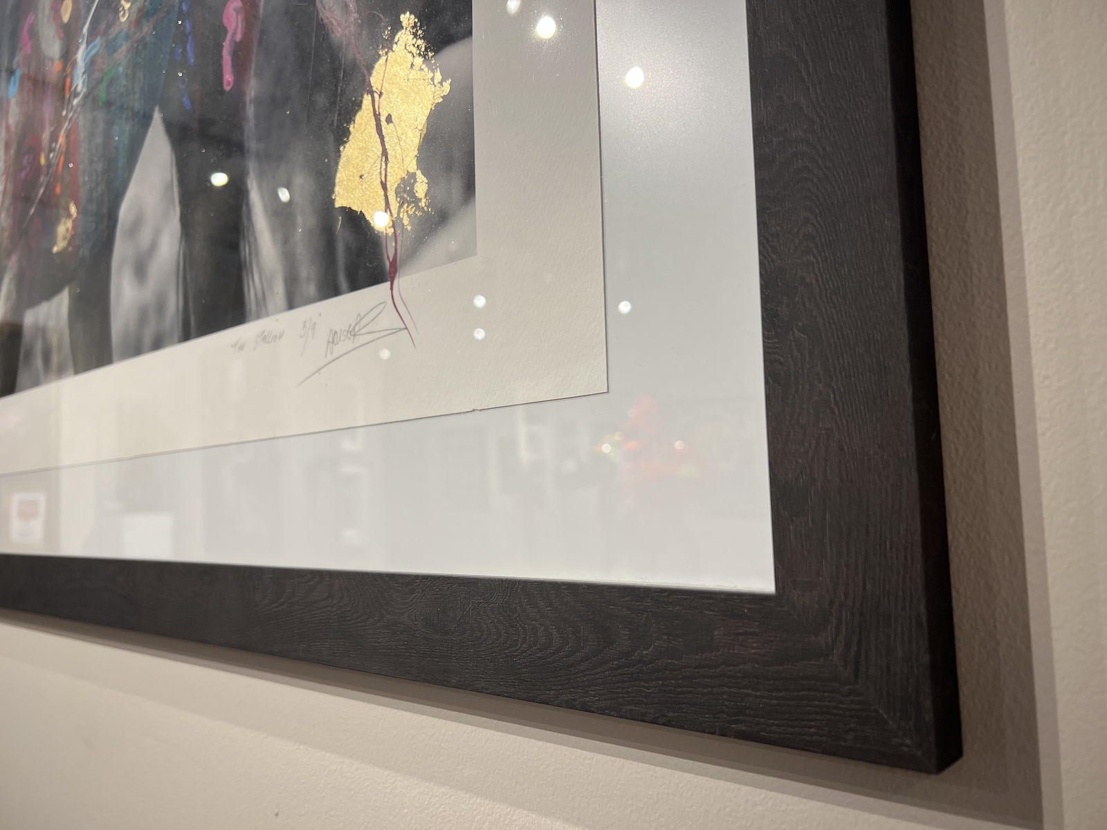 Arno Elias, The Stallion - 5/9