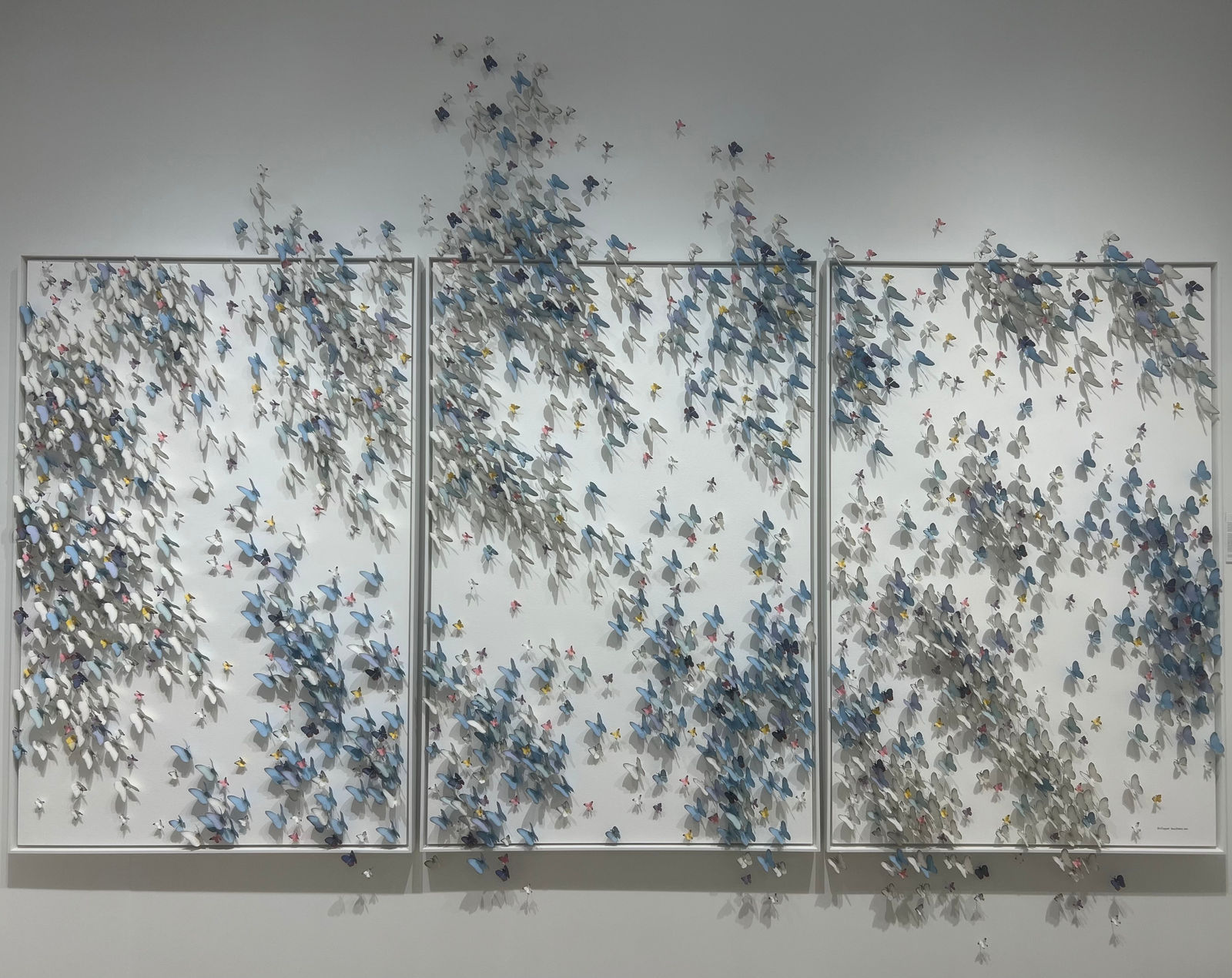 Phil Luangrath and Favio Landeira, Rencontre No. 22, 2024