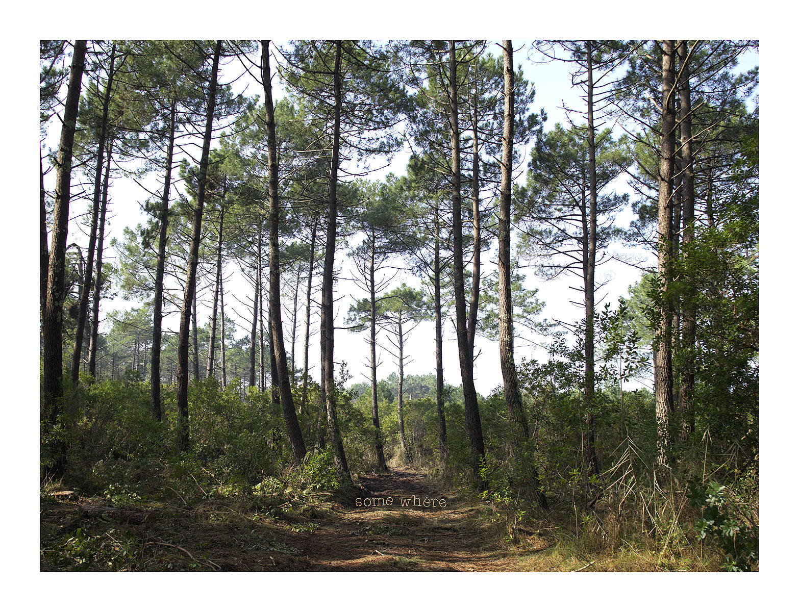 Anne Valverde, Somewhere 3/12