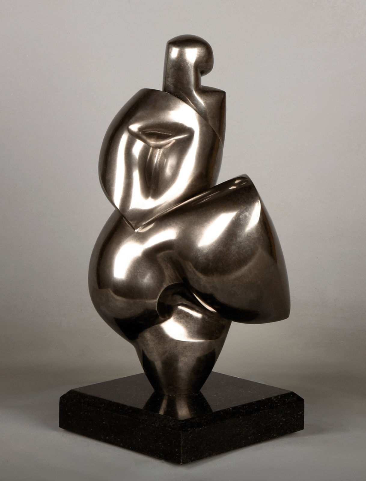 Dominique Pollès, ZIBLINA (1/1), 2008/1013