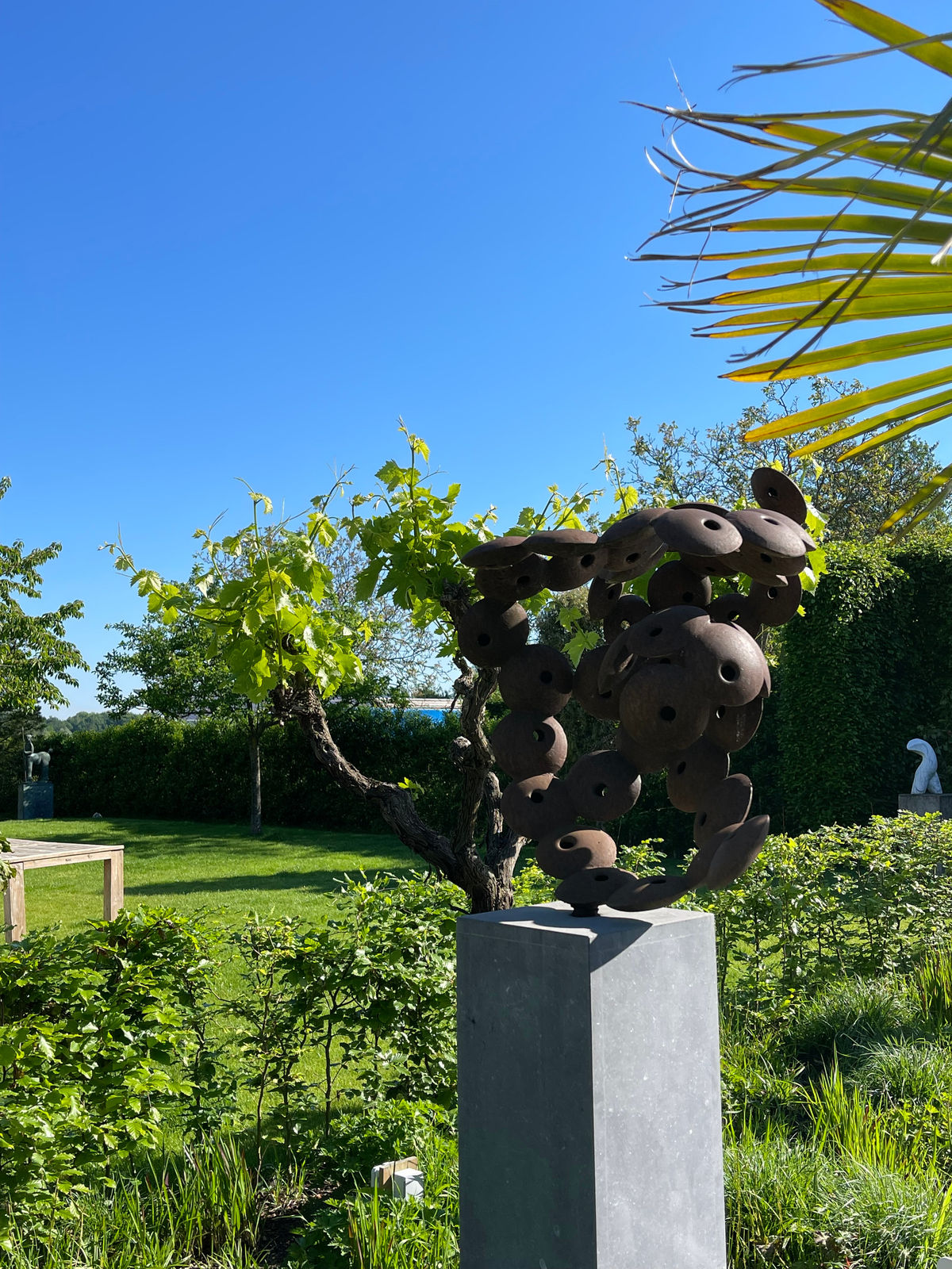 Pieter Obels, Untitled