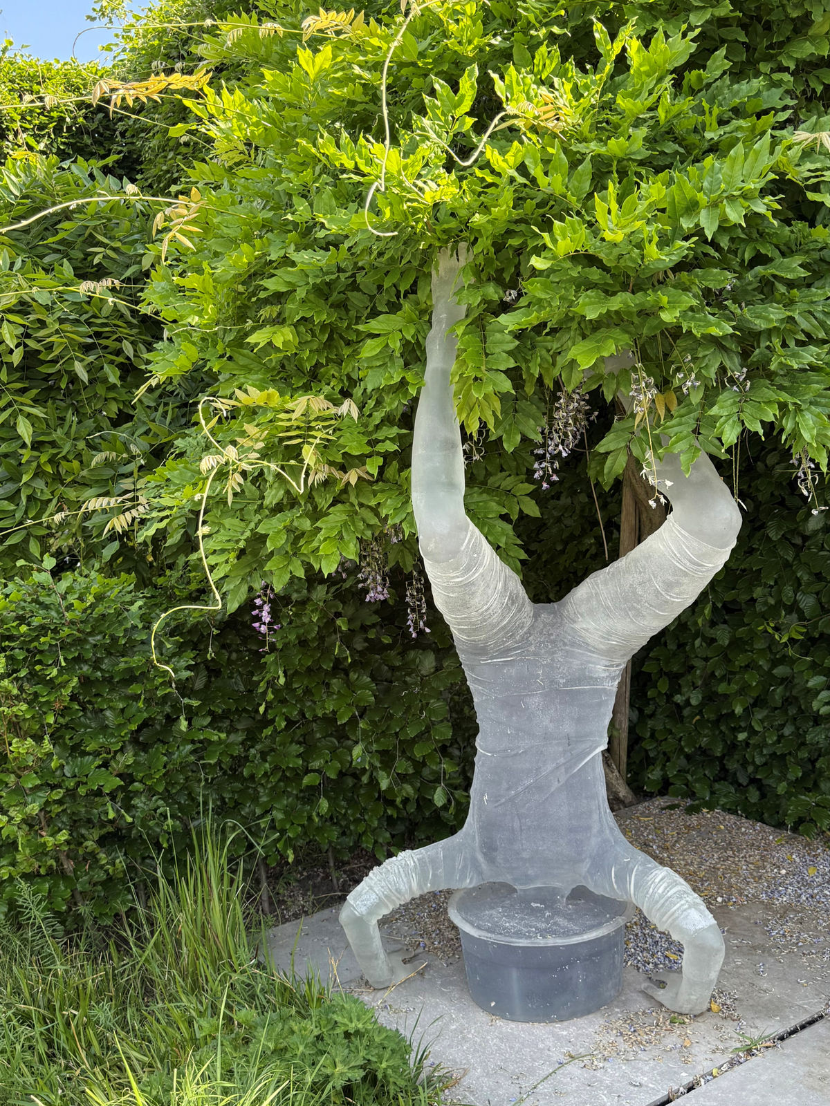 Herman Lamers, My head is my only house