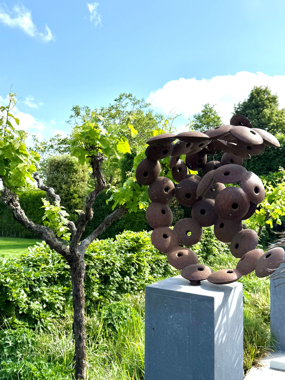 Pieter Obels, Untitled