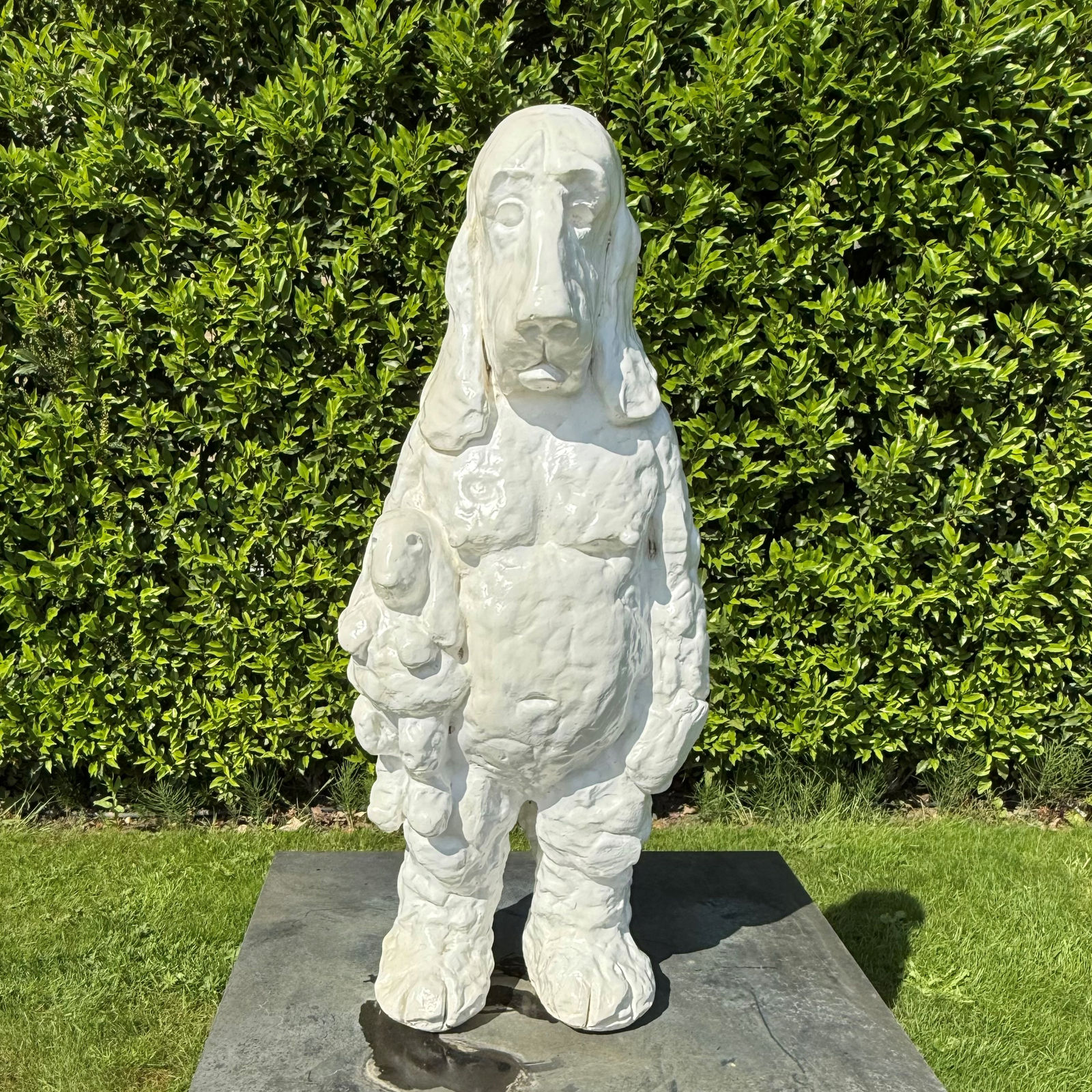 Erik Buijs, JACHTHOND, 2021/2023