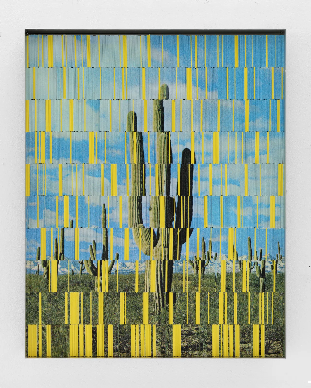 Peter Wegner, Yellow Divided by Cactus, 2026