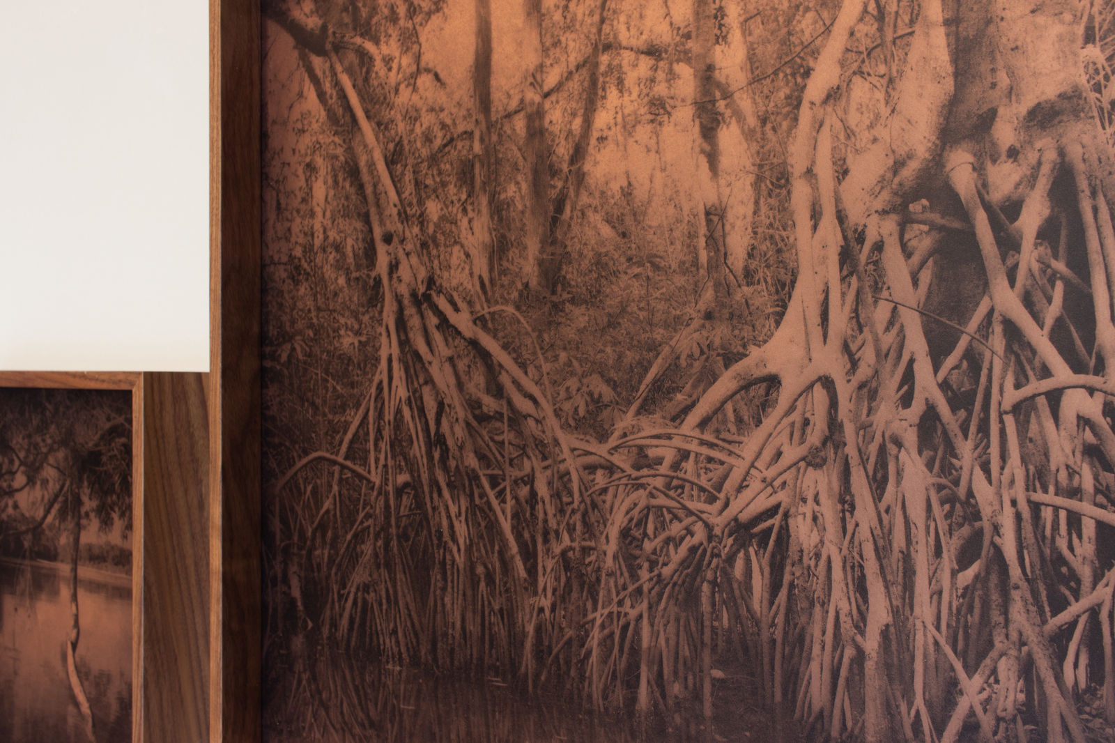 Miguel G. Counahan, Centla, 2021