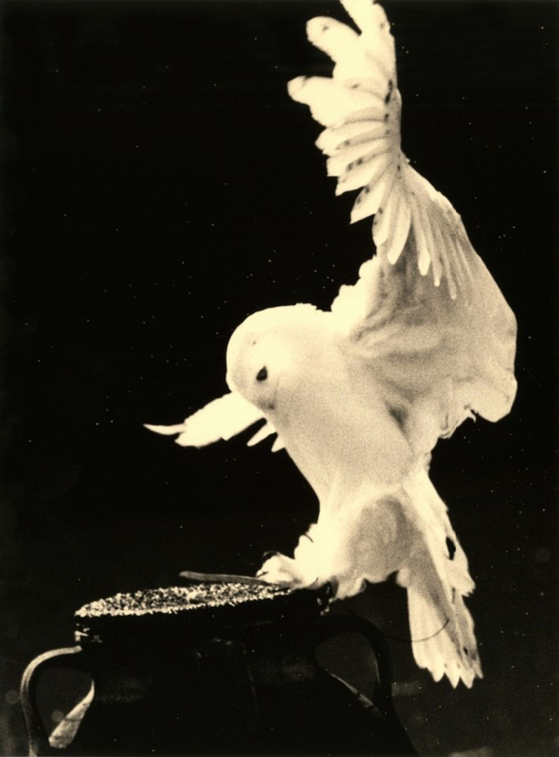 Masao Yamamoto, Kawa=Flow #1650, 2016