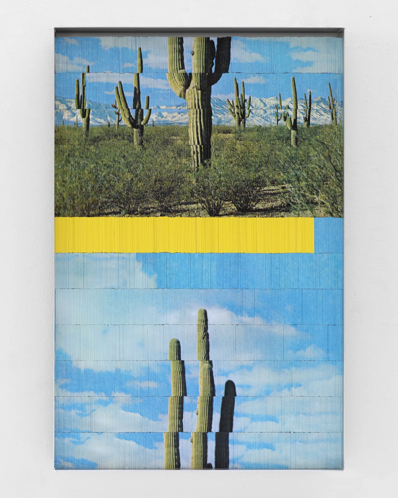Peter Wegner, Cactus Divided by Yellow, 2026