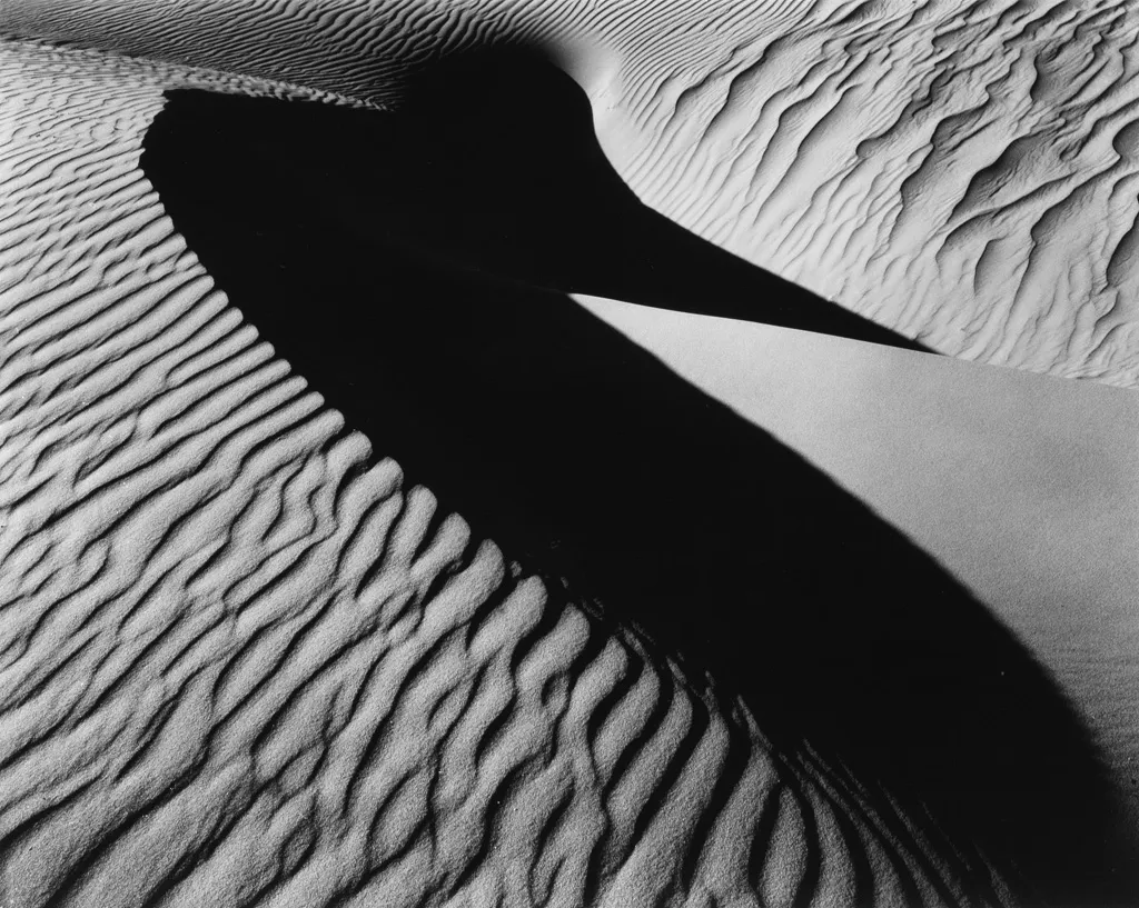 Brett Weston, Bird Dune, Oceano, California, 1933