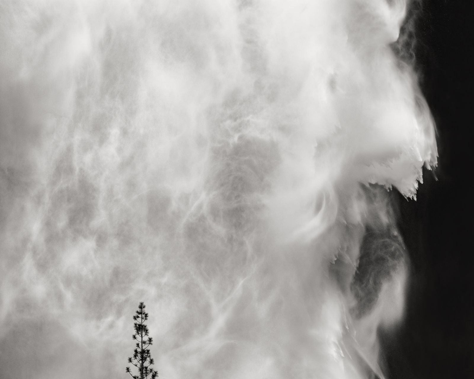 Jeffrey Conley, Tree and Waterfall, Yosemite, 2019