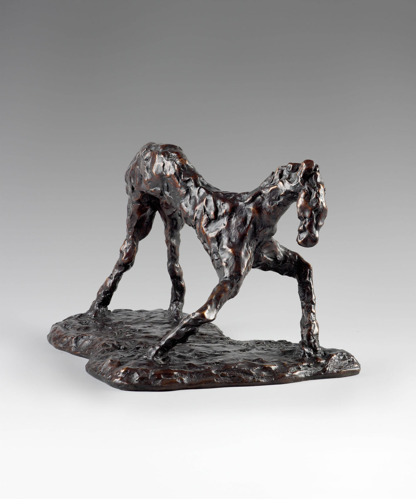 Martine Martine, La Naissance du poulain, 1994