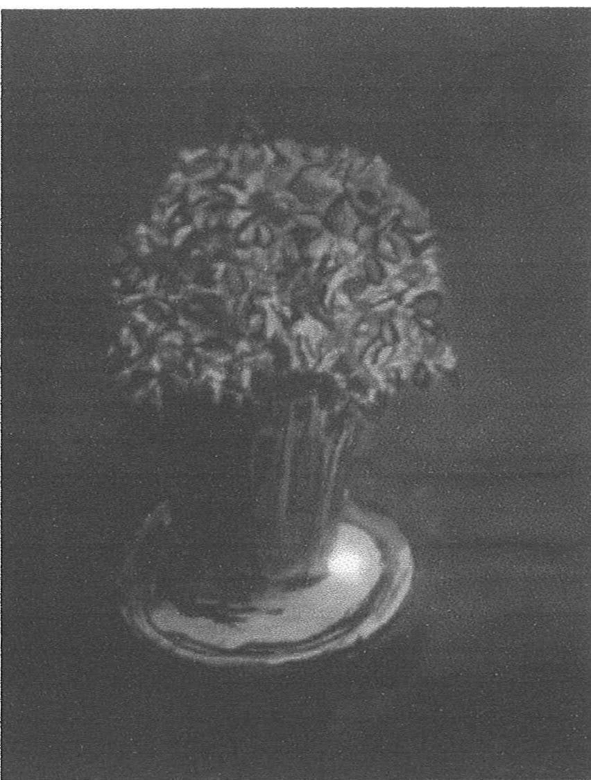 Martine Martine, Bouquet, 1976