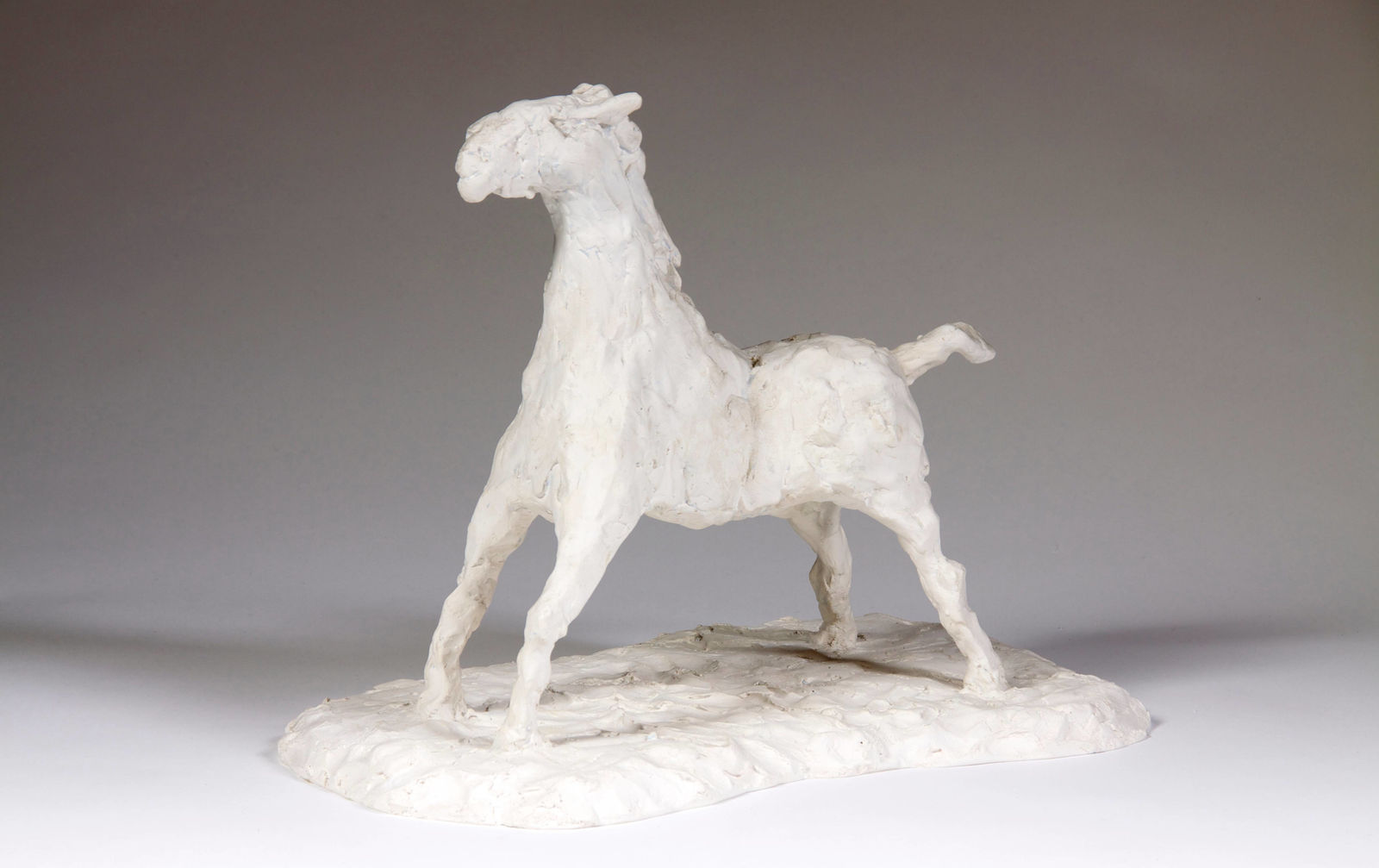 Martine Martine, Petit Cheval fier, 1998