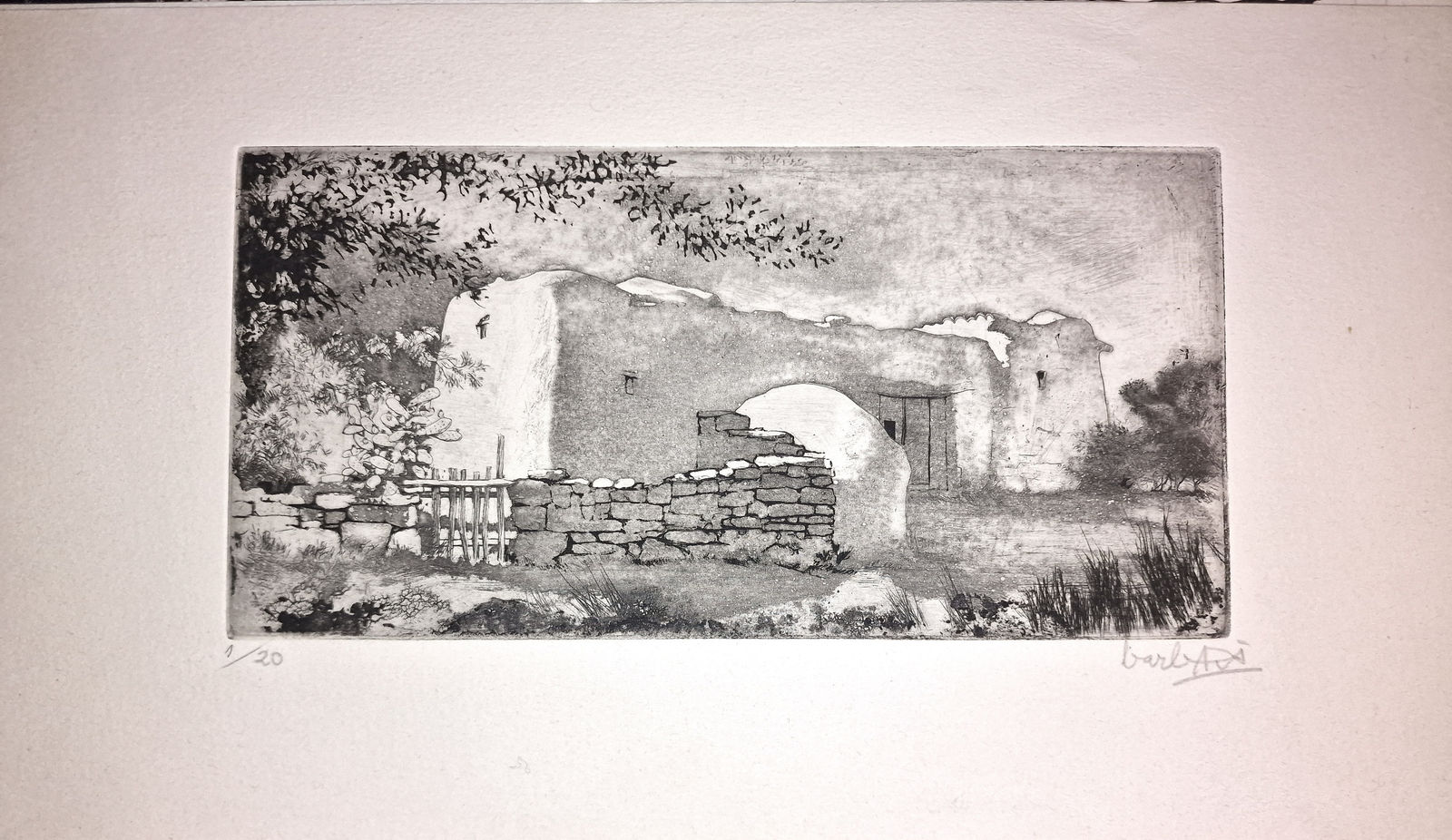 Joan Barbarà, Pagesia entre Muntanyes, 1949-2008