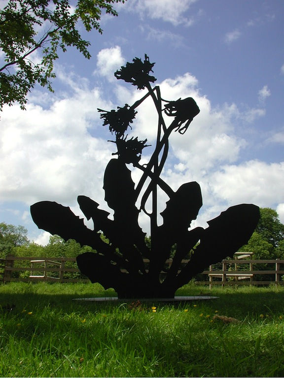 Paul Morrison, Topocline, 2005