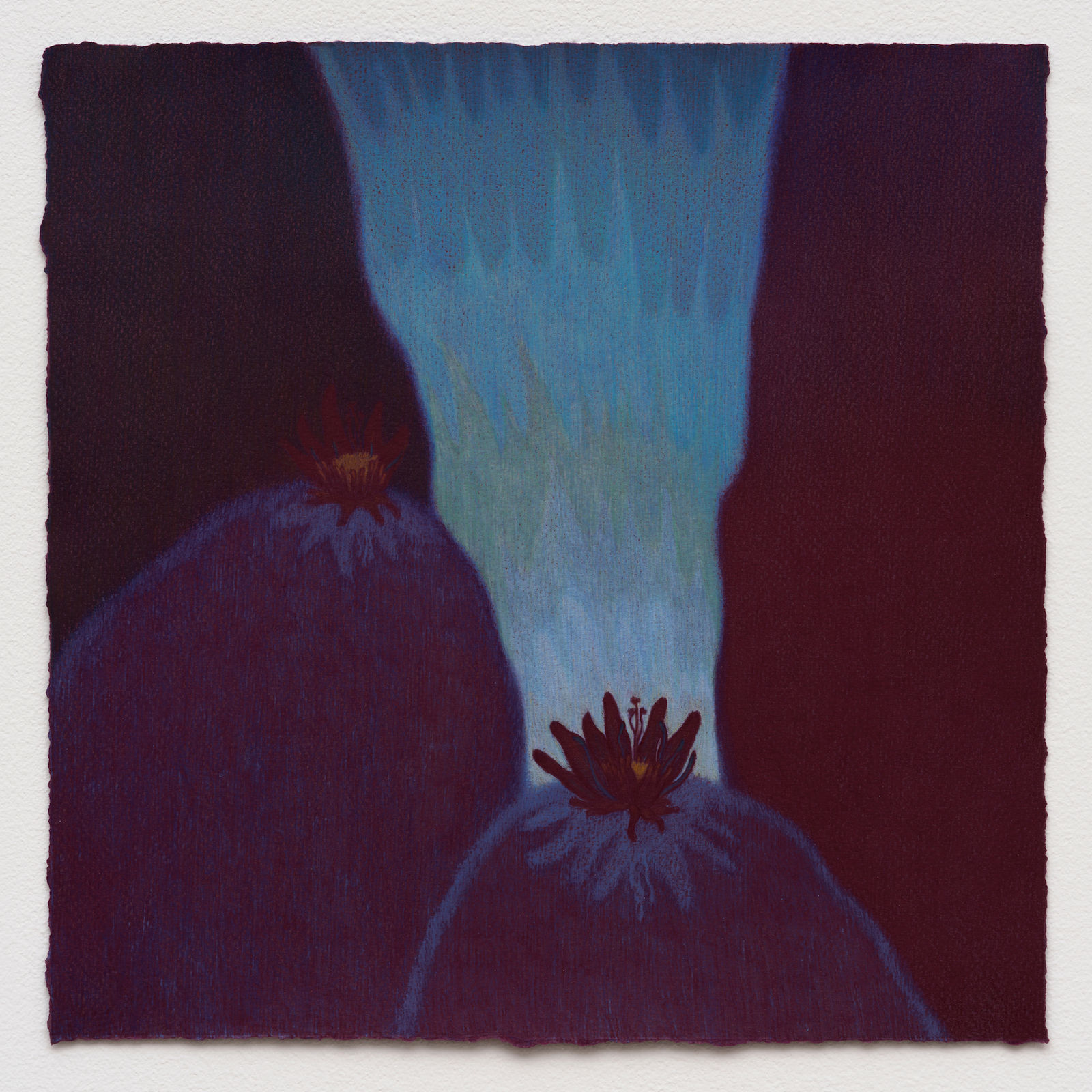 Lydia Baker, Exterior, 2021