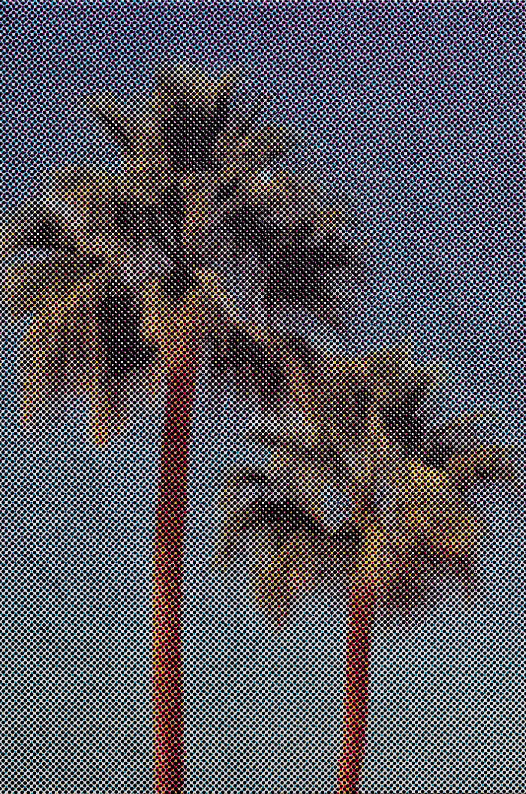 Maggie Hall, Palm Trees, 2026