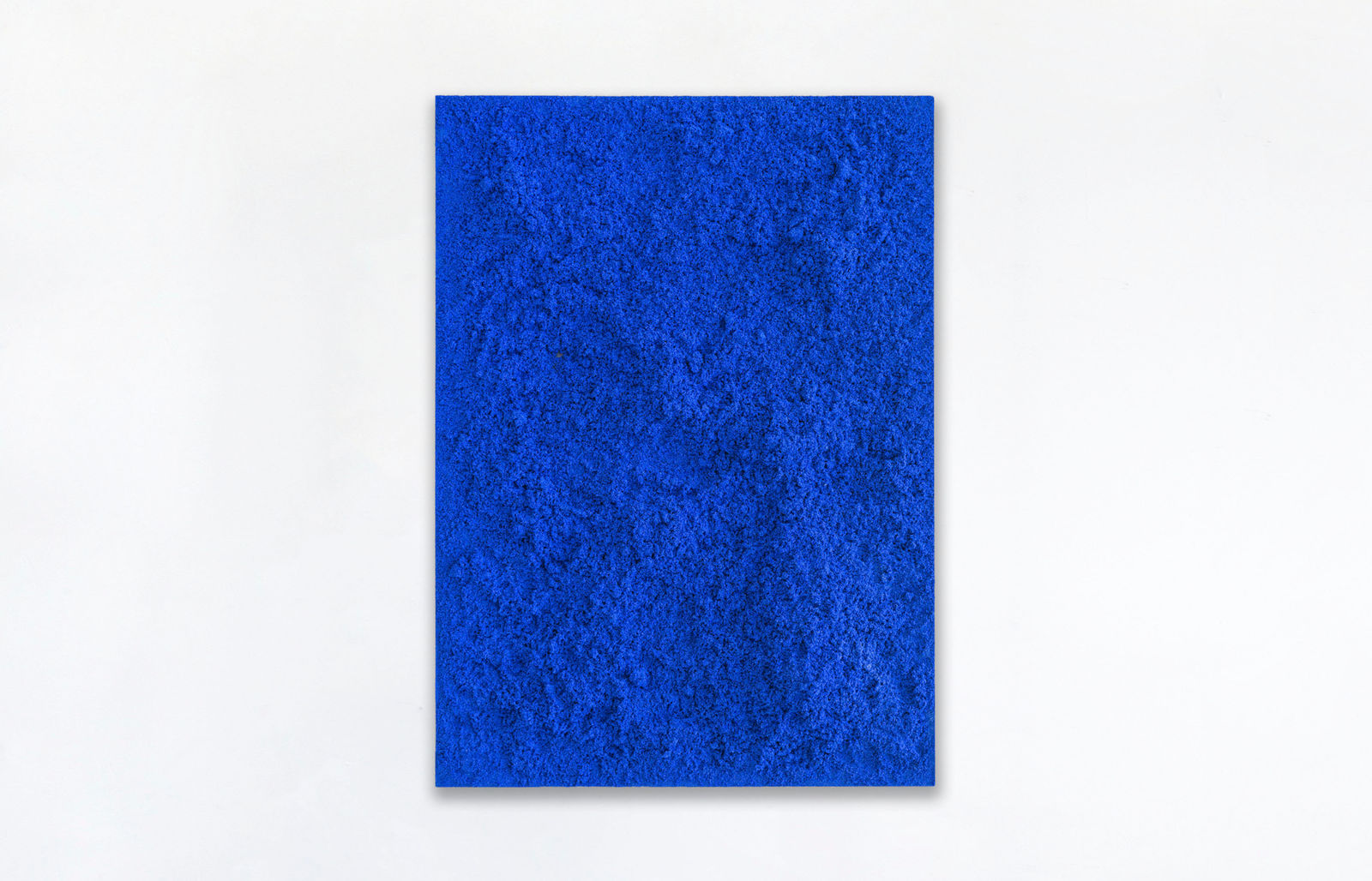 Fernando Mastrangelo, Terra Navy, 2024