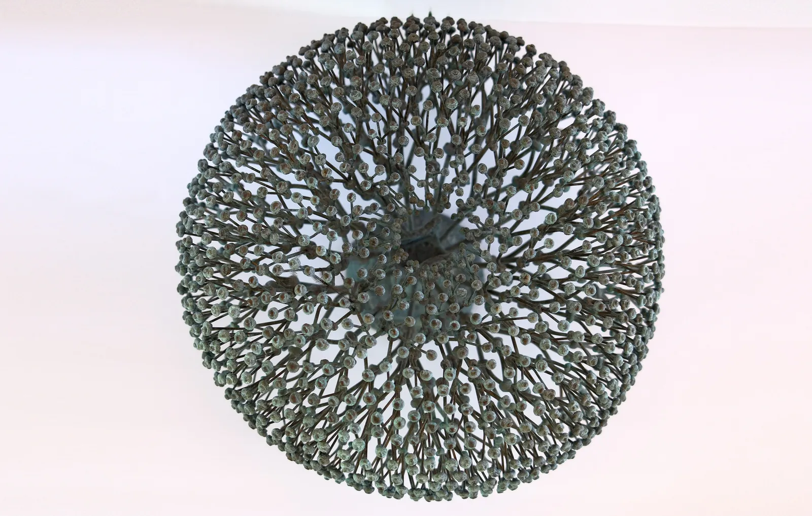 Harry Bertoia, Untitled (Bush), c. mid to late 1970's