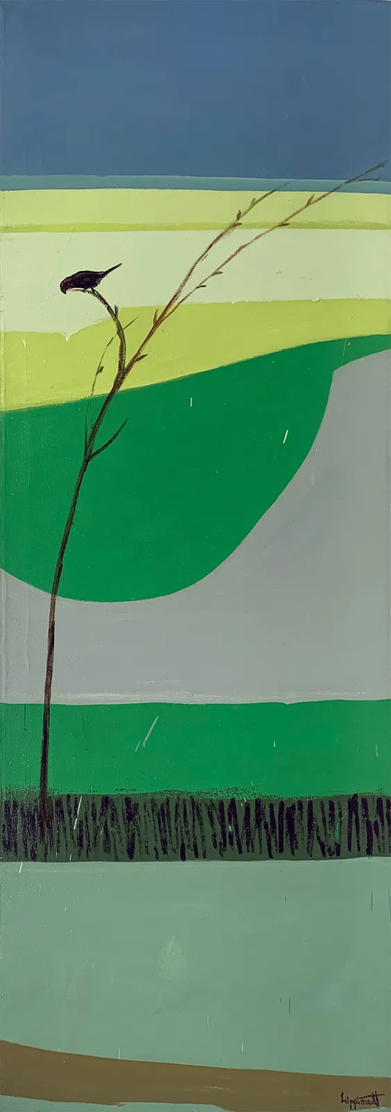 Janet Lippincott, Willow Branch, n.d.