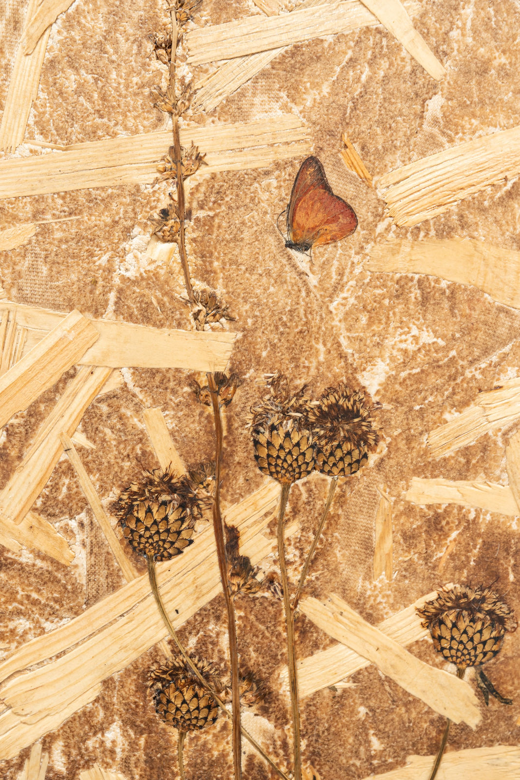 Julius von Bismarck, Oviparous Skies Break, 2024