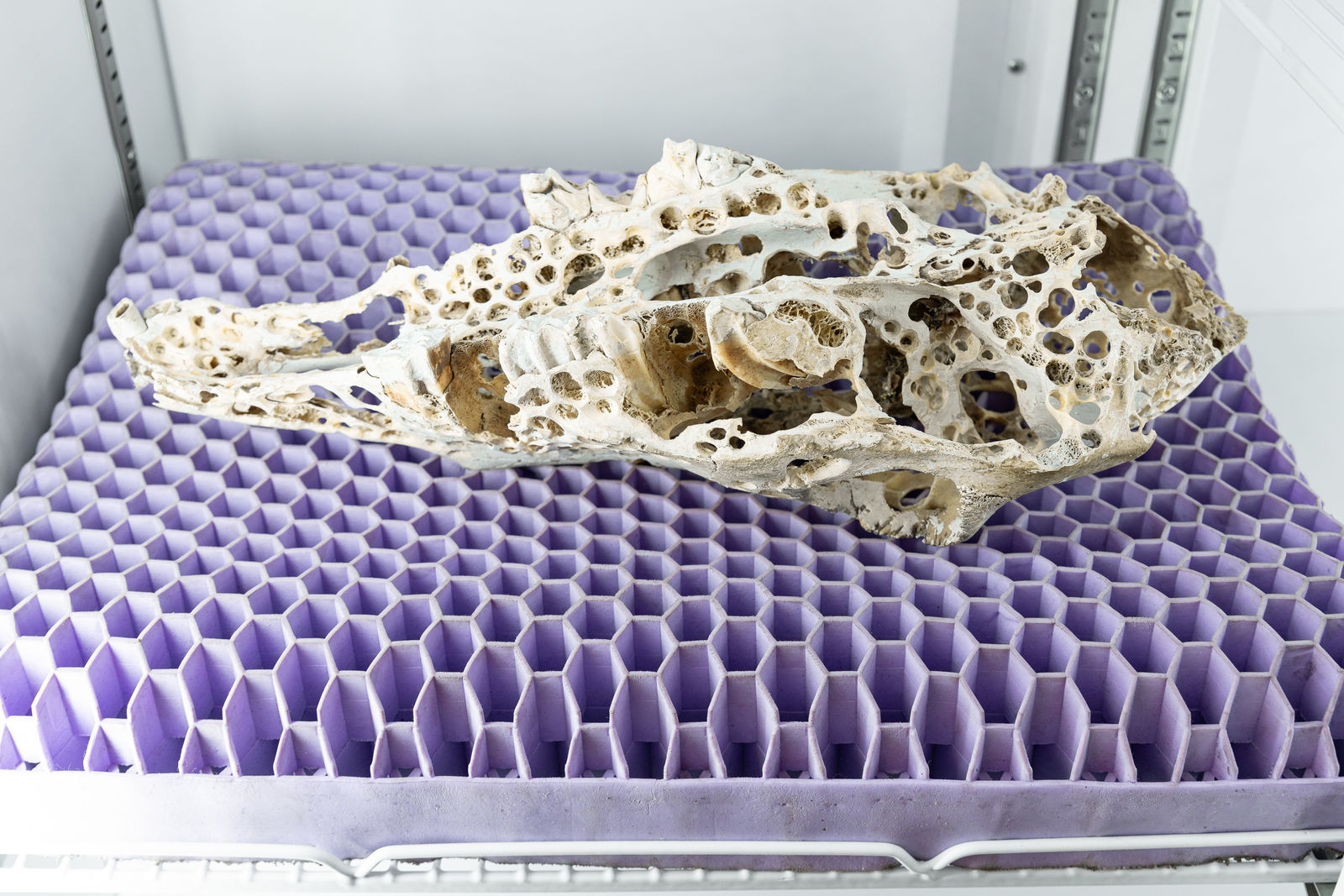 Nicolás Lamas, Mechanical erosion, 2022