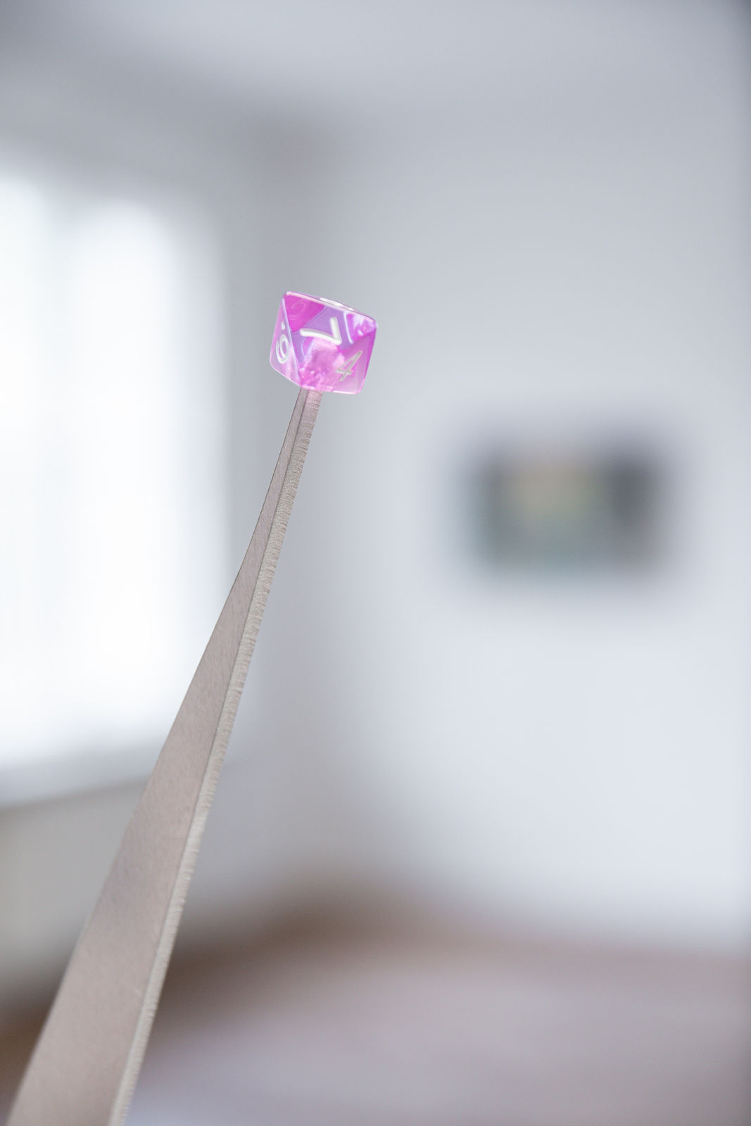 Niko Abramidis &NE, Portfolio Manager 2, 2019