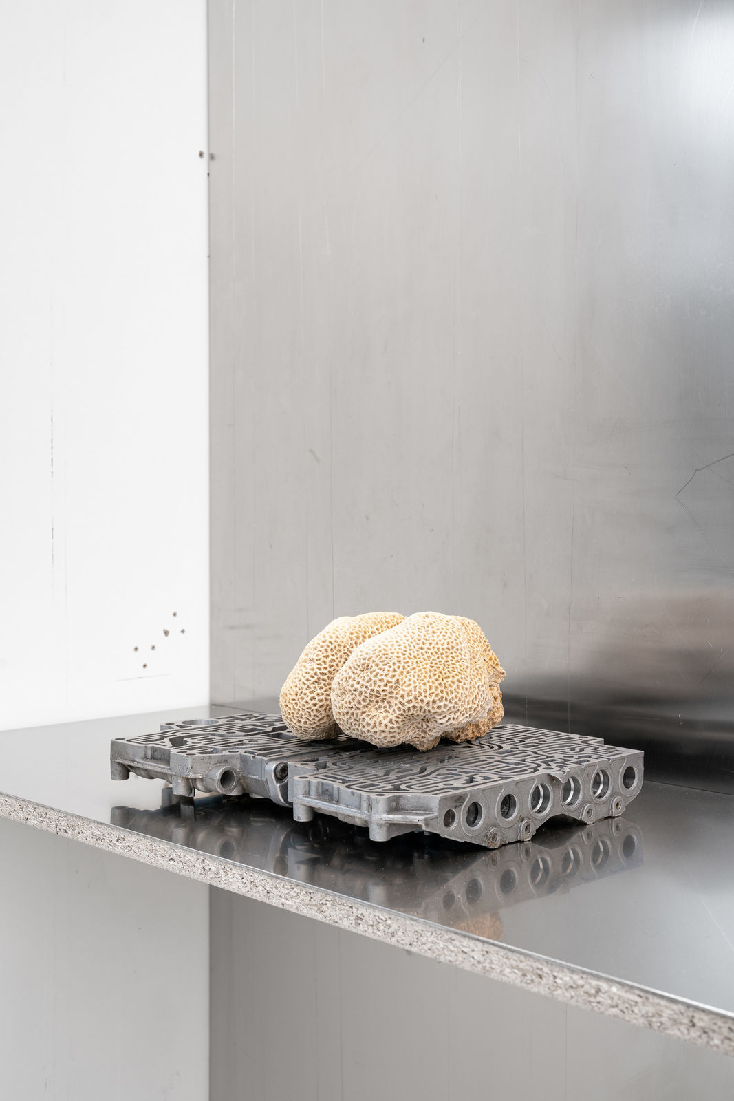 Nicolás Lamas, Neurocoral, 2022