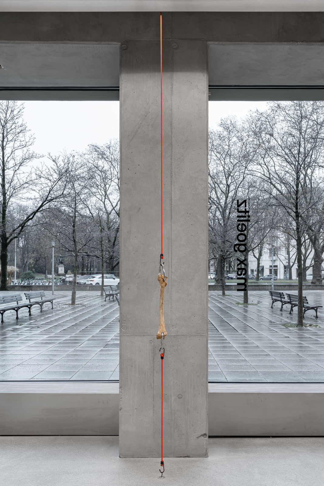 Nicolás Lamas, Tendon, 2022