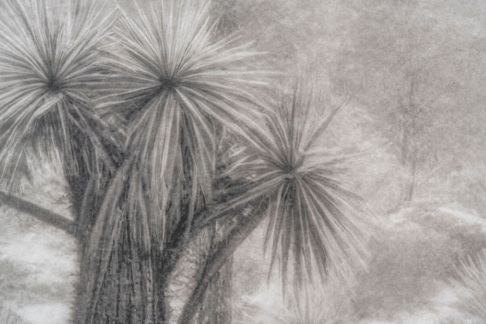 Troika, Out of Place, Out of Time (White South), 2025