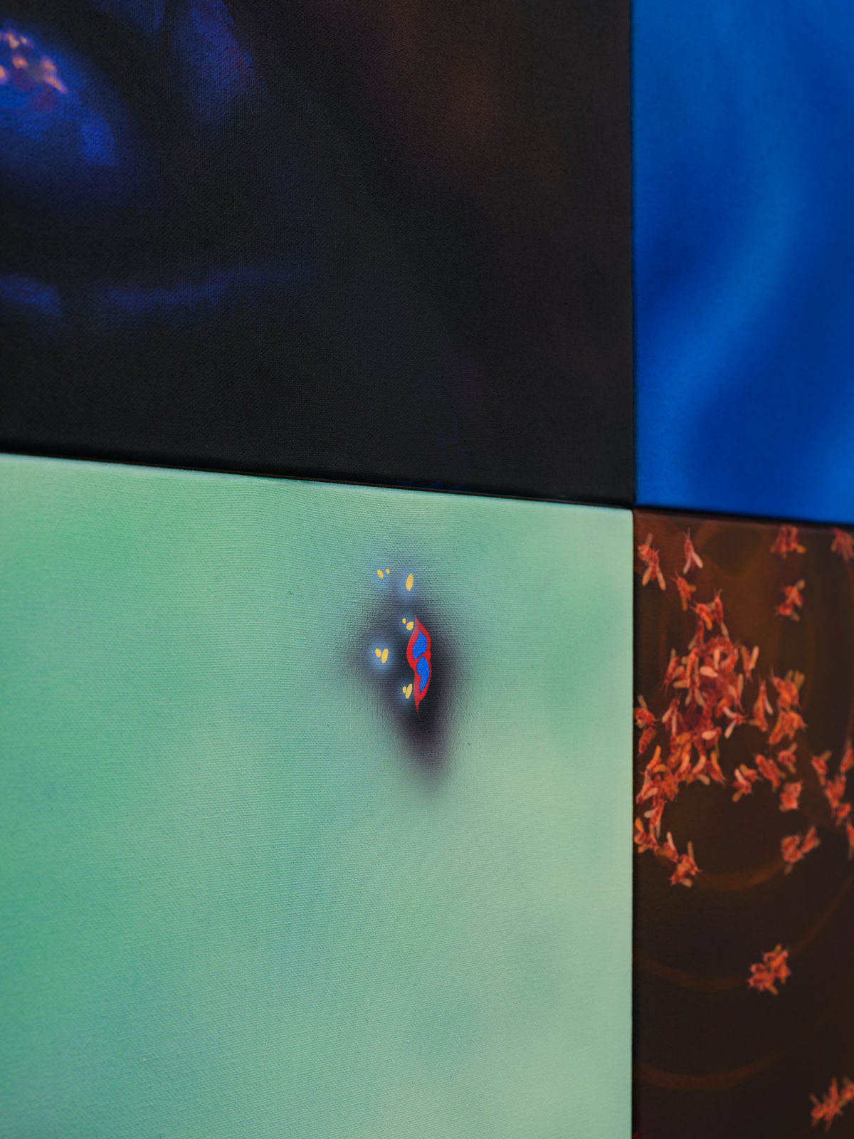 Natacha Donzé, Repository, scattering seeds, 2023