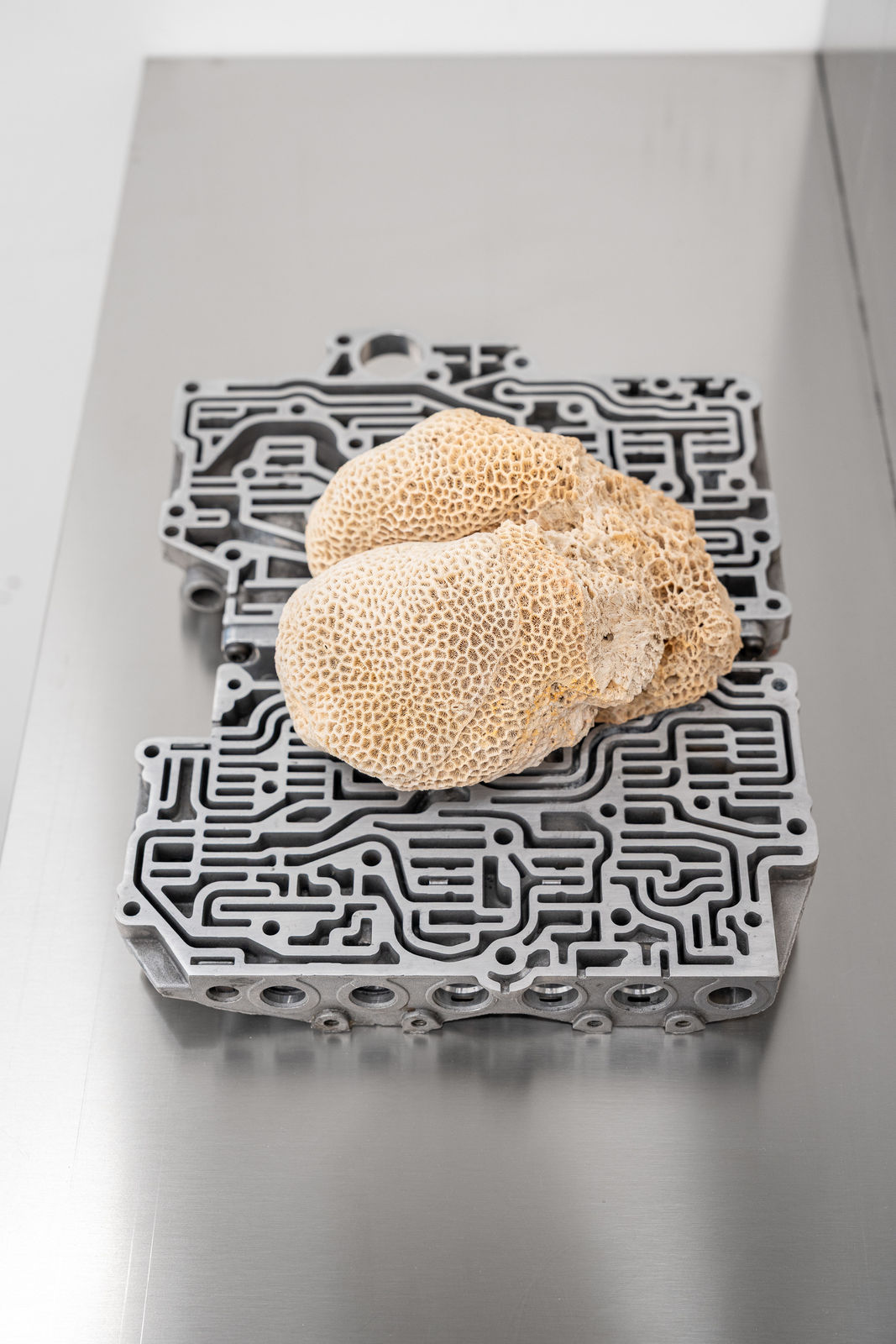 Nicolás Lamas, Neurocoral, 2022