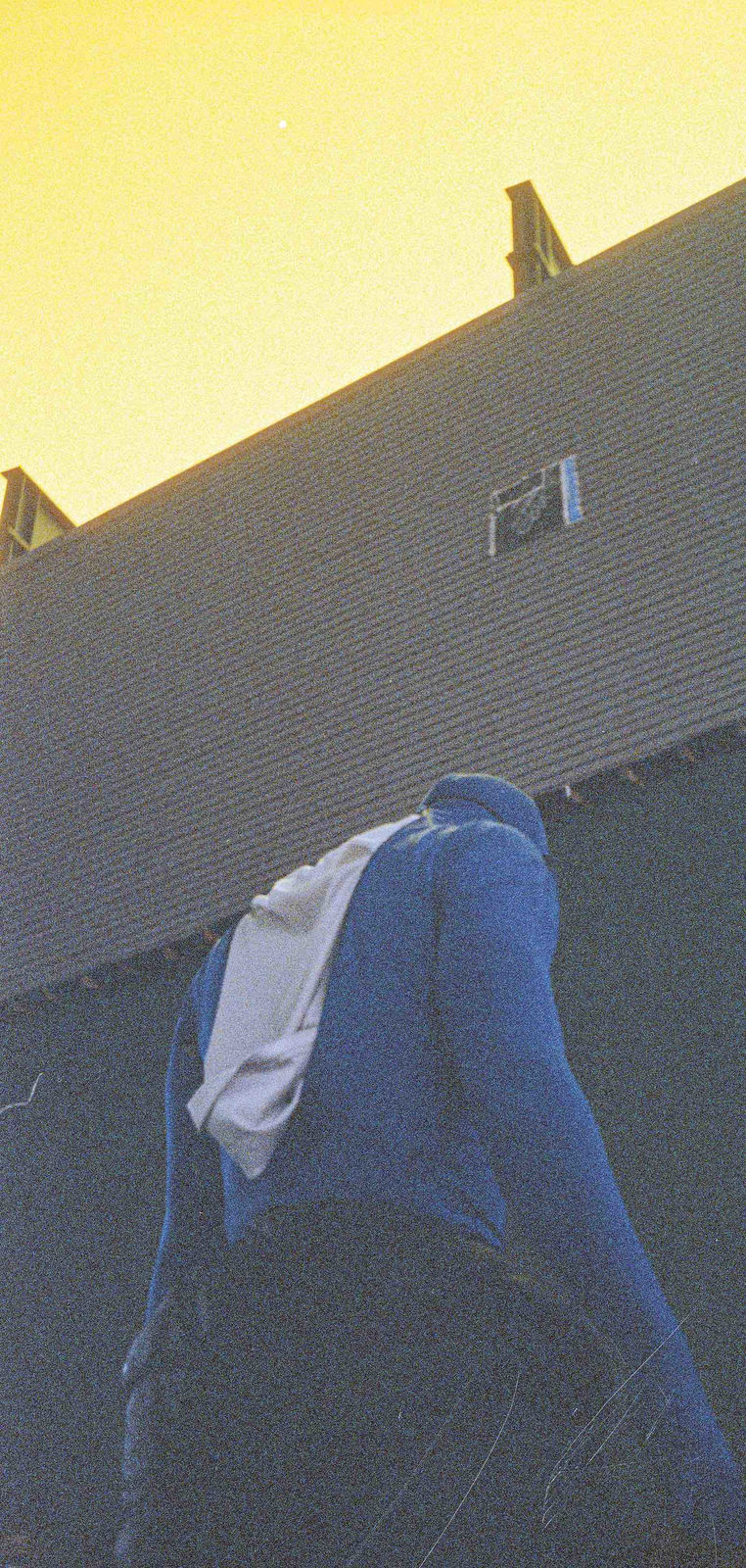 Justin Urbach, FIBER NERVE, 2024