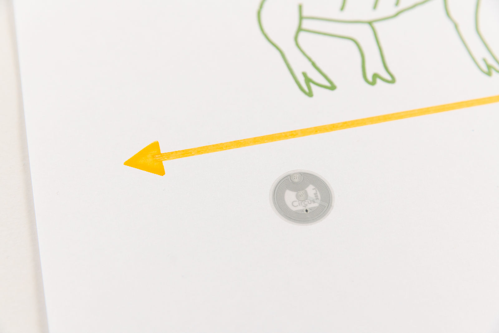 Niko Abramidis &NE, Positioning ƒ ∑, 2021