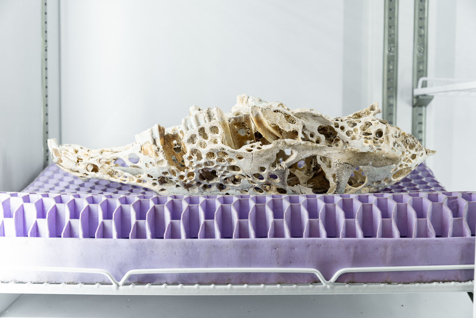 Nicolás Lamas, Mechanical erosion, 2022