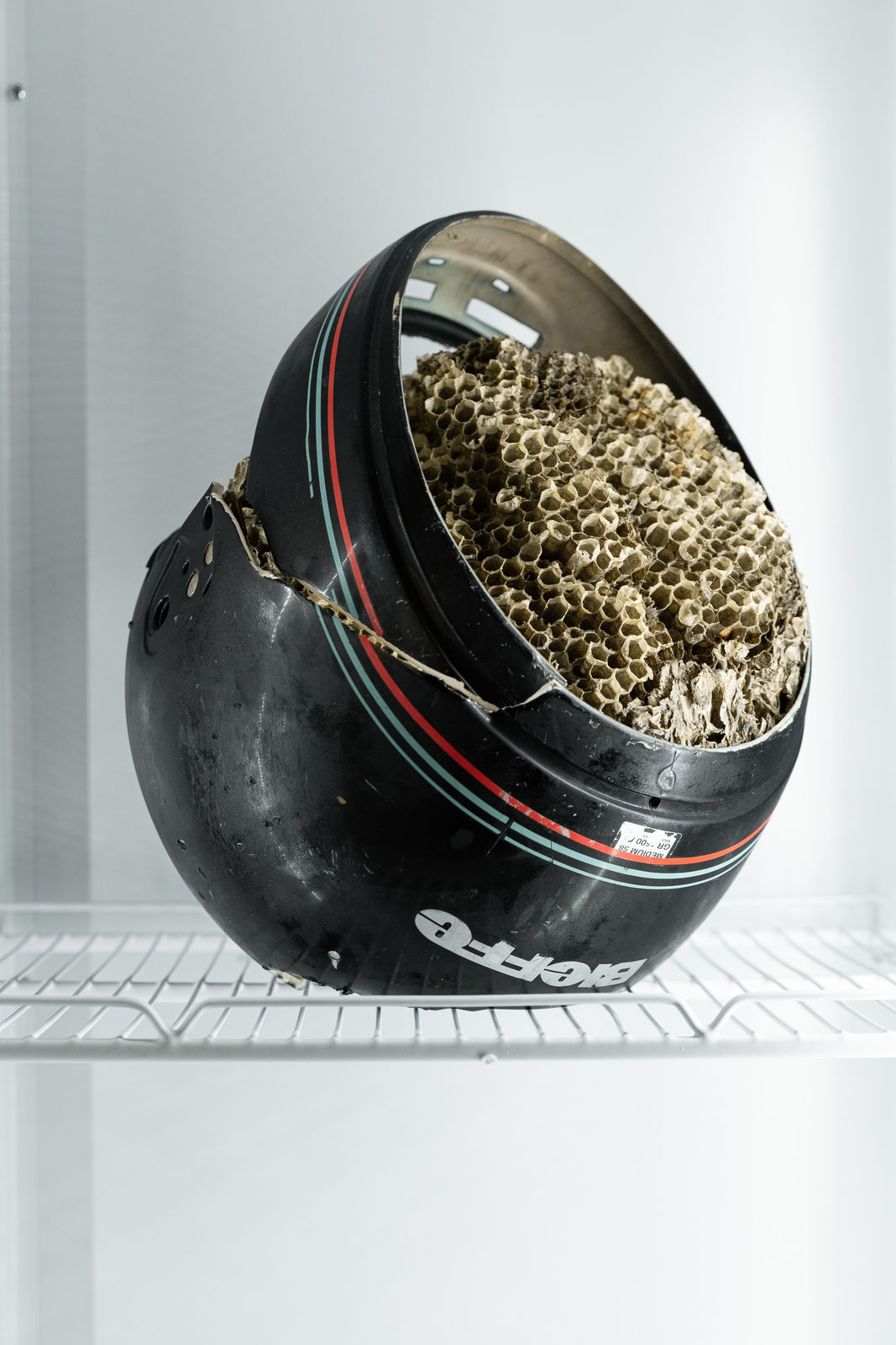 Nicolás Lamas, Network collapse, 2019