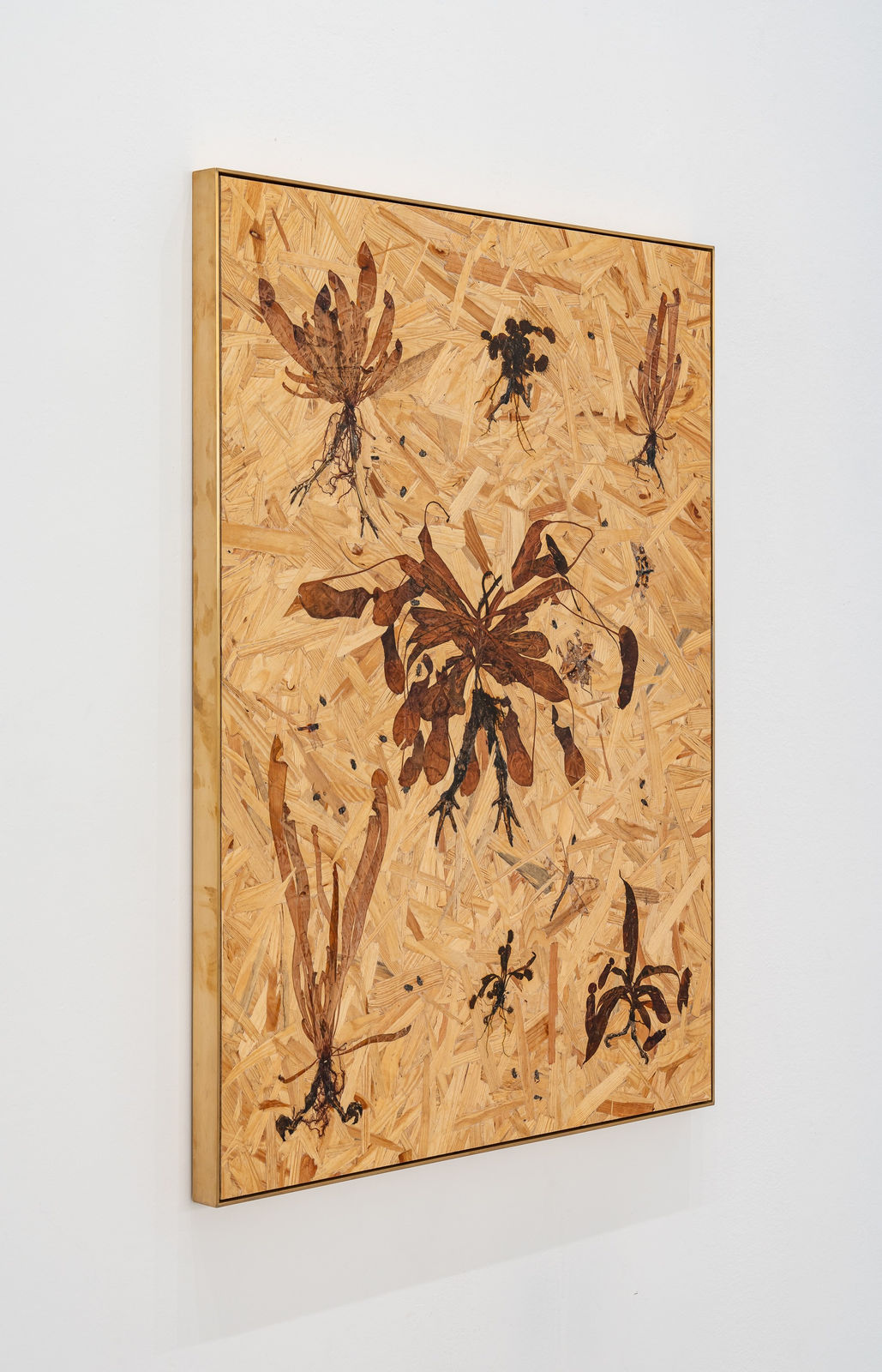 Julius von Bismarck, On Sprinting Botany, 2024