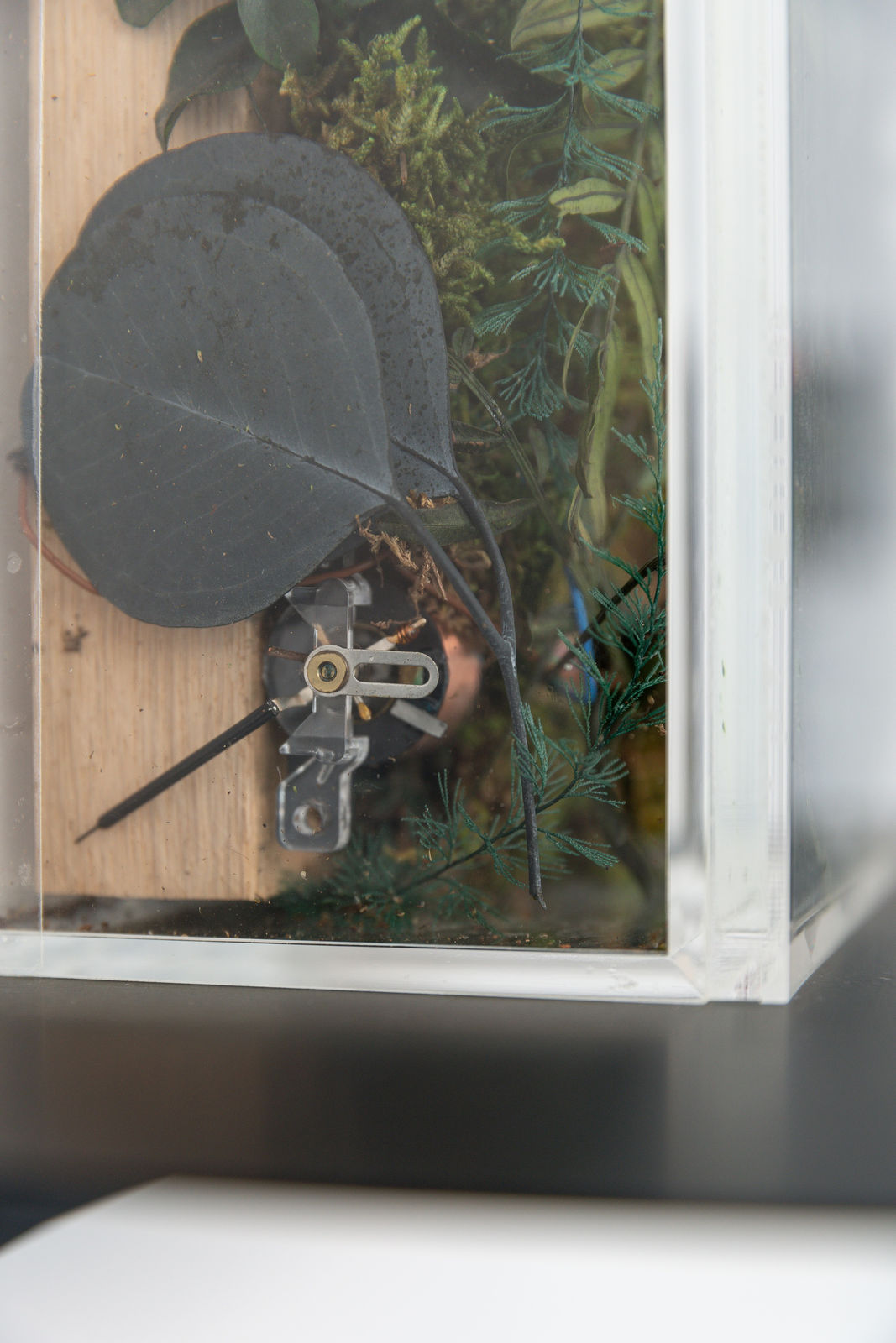 Cécile B. Evans, Prop for a Future Adaptation (microbial fuel cell prototype for giselle) II, 2021