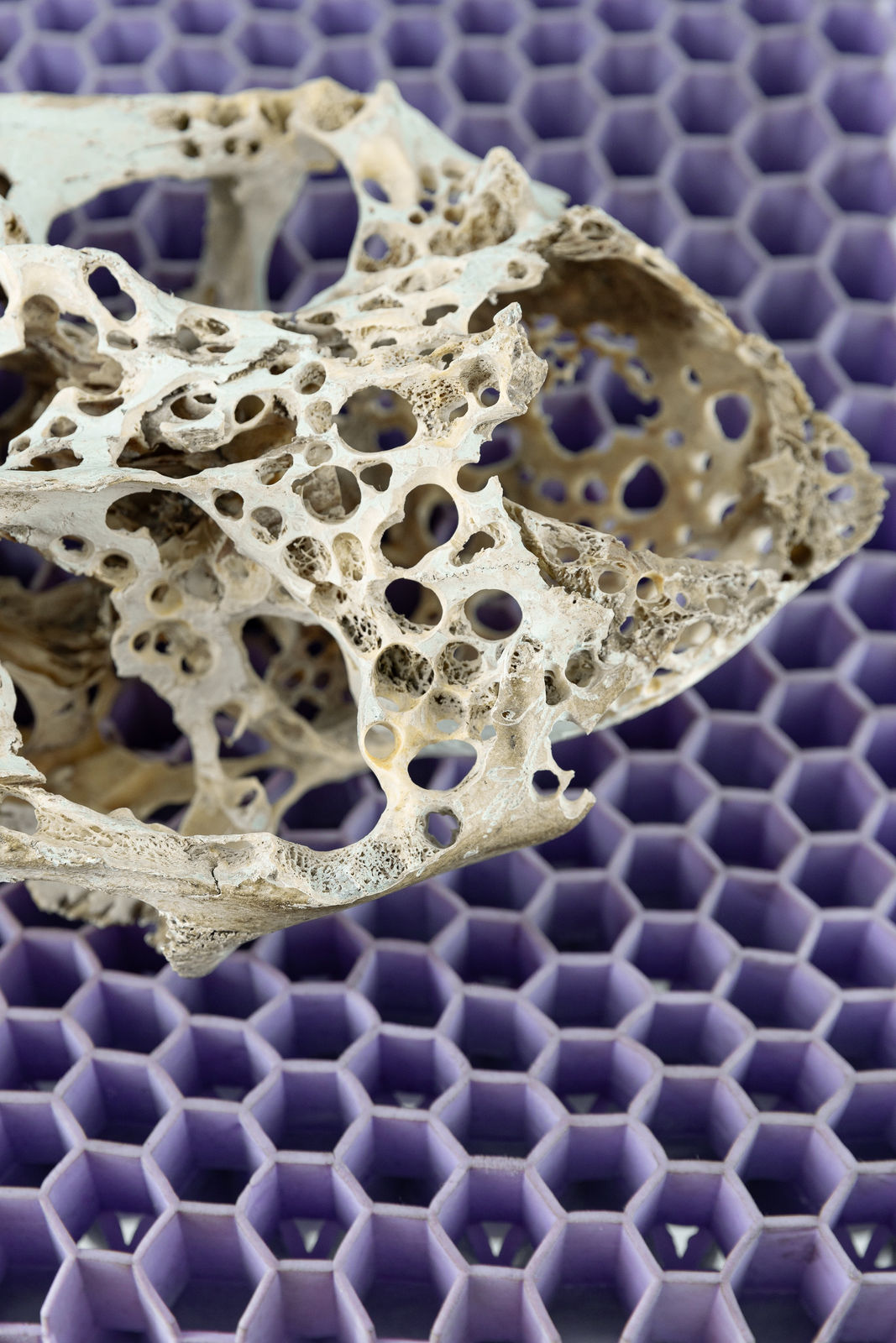 Nicolás Lamas, Mechanical erosion, 2022